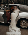 2 Tier Tulle Veil