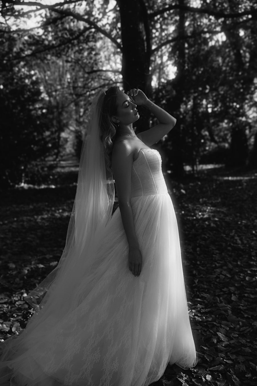 Long Blusher Tulle Veil